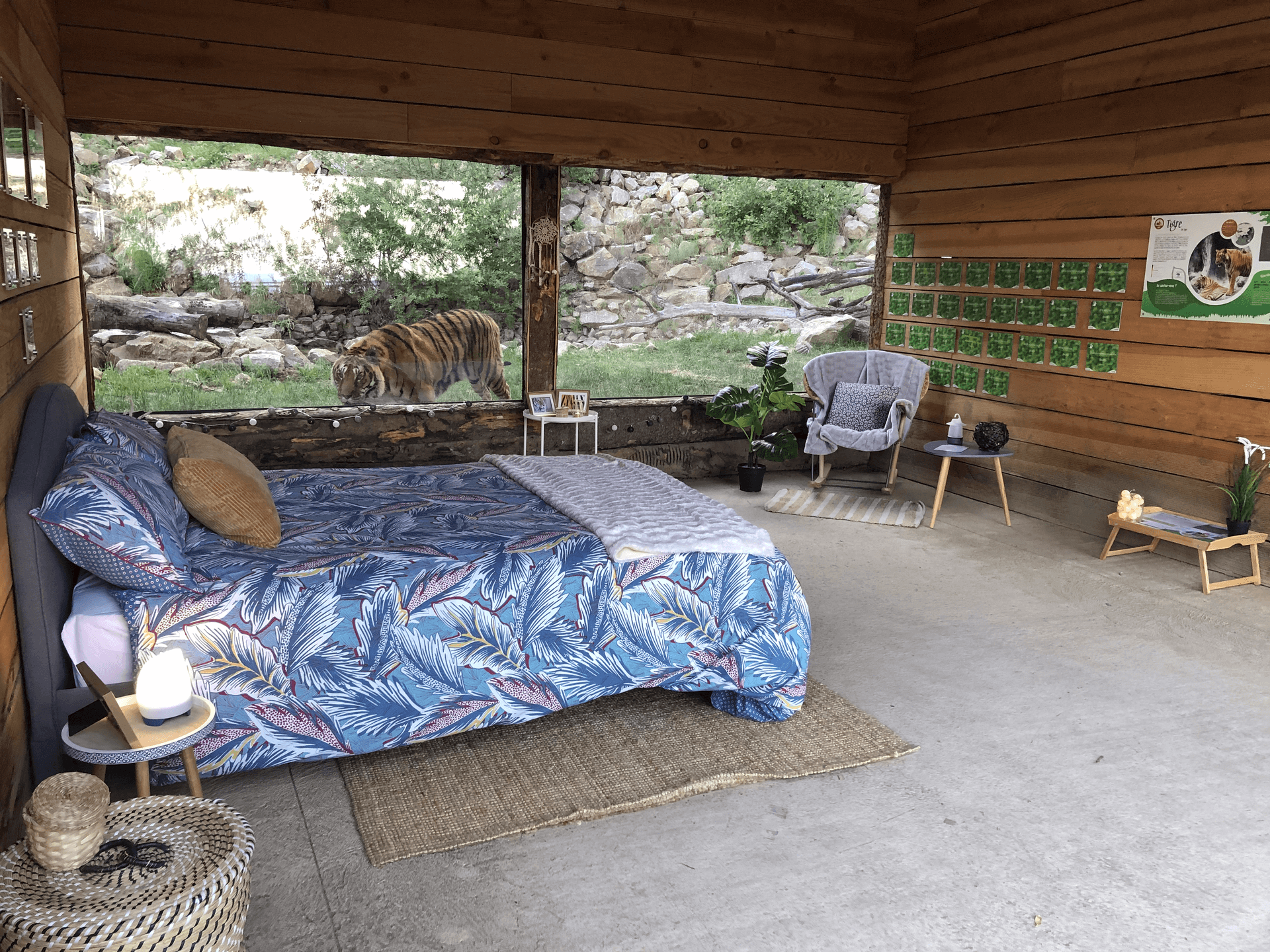 Chambre des tigres
