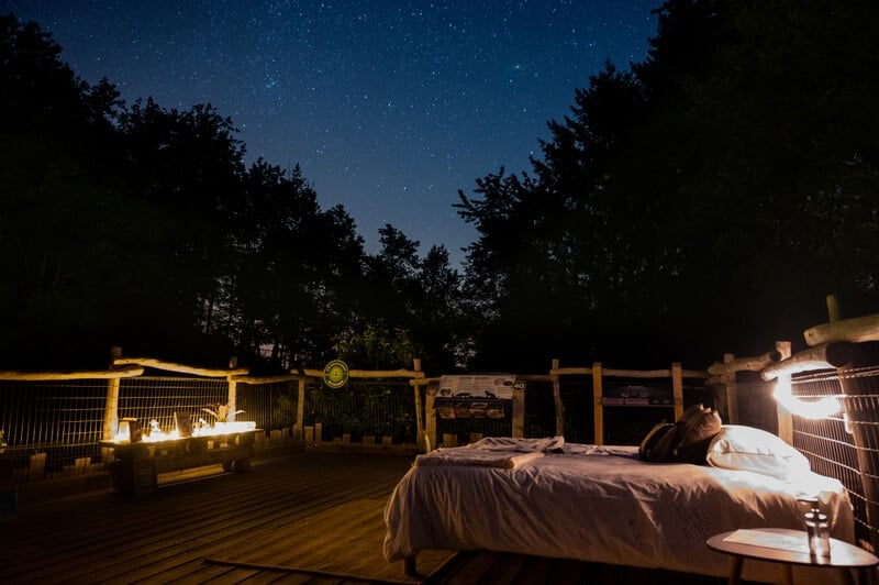 Une nuit exceptionnelle au milieu des animaux